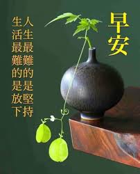 Saying good morning and good evening is important when studying mandarin chinese. 860 Chinese Greetings Ideas In 2021 Greetings Morning Greeting Good Morning Greetings