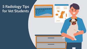 Check spelling or type a new query. 5 Radiology Tips For Vet Students