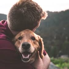 Make Sure To Give Your Pup The Same Unconditional Love They Give You Goldenretriever Love Puppywardrobe Bestfriend Co Video In 2020 Losing A Dog Dog Passed Away Dogs