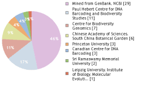 Image result for Cryptolepis cryptolepioides