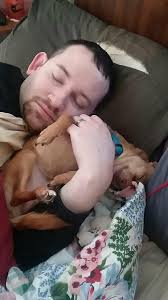 Biggs. Archie's 'dad'... was the cutest kindest soul. It explains a lot  about Archie. He used to love this chair... and sometimes, Archie try as he  may... wanted to sit up there