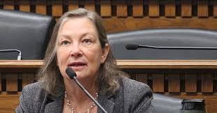 House, Senate Democrats pitch different priorities in operating budget  proposals