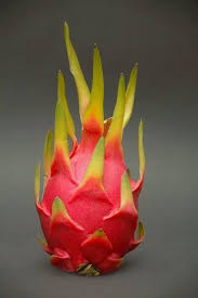 Informative Pictures How To Grow Dragon Fruit Dragon Fruit Plant Fruit Flowers