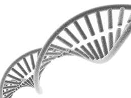 Https Multimedia 3m Com Mws Media 1353350o 3m Molecular Detection Assay 2 Listeria Update Pdf