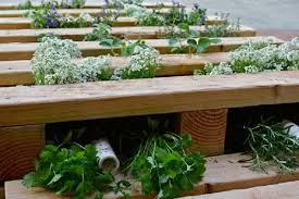 Europaletten Im Garten Verwenden 23 Thematische Wohnideen Fur Sie Paletten Garten Pflanzenwand Garten