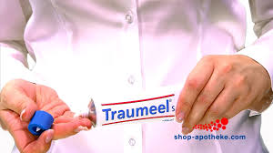 Traumeel Salbe Test Empfehlungen 07 21