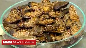 Beberapa riset membuktikan, mengonsumsi makanan berprotein tinggi dapat membantu anda menurunkan berat badan hingga. Roti Mengandung Kecoa Punya Kandungan Protein Lebih Tinggi Daripada Daging Bbc News Indonesia