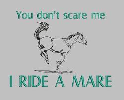You Don T Scare Me I Ride A Mare Horse T Shirt Tee T Shirt Choose Your Shirt And Thread Color Mare Horse Horse Quotes Horse Riding Quotes