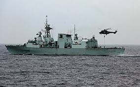 Image result for Gris 1995 Fleet