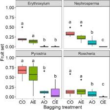 Image result for Pyrostria bibracteata