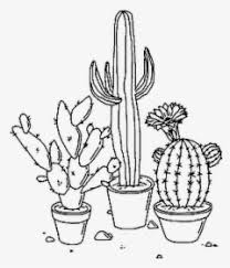 .psd coloring #10 aesthetic| pastel heart. Plants Tumblr Nature Cactus Aesthetic Png Transparent Png Kindpng