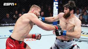 Jan Blachowicz vs. Magomed Ankalaev (UFC 282) (12/11/22) - Live Stream -  Watch ESPN