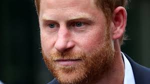 Chad cuts ties with Prince Harry's 'disrespectful' wildlife charity