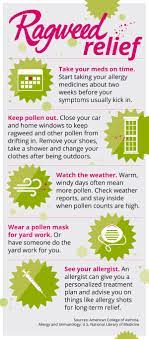 Most People Think Of Spring As A Time For Seasonal Allergies But Ragweed Season Begins In Late Summer Pol Ragweed Allergy Seasonal Allergies Allergy Medicine
