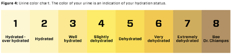 nutrition hydration recognize to recover