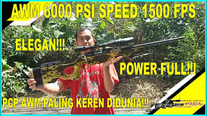Senapan cal 35 atau 9mm, senapan tactical tags: Jual Pcp Awm Big Game 6000 Psi Wtp Camo Camo Pubg Style Kota Bogor Cs Sniperwarrior Snipwar7 Tokopedia