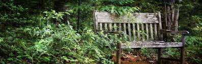 Maybe you would like to learn more about one of these? Outdoor Benches 25 Unique Styles From Rustic To Modern Insteading