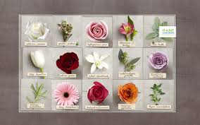 Maybe you would like to learn more about one of these? The Language Of Flowers
