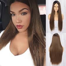 Fashion Salon Closure Synthetic Hair Wig Long Silky Straight Dark Brown  Fiber Wigs for Black Women