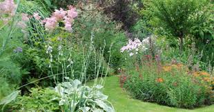 Http Www Lesjardinsdemonmoulin Fr Comment Faire Un Jardin Jardins Comment Faire
