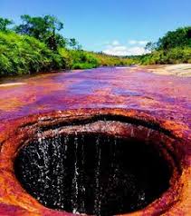 Check spelling or type a new query. 53 Ideas De Cano Cristales Cano Cristales Paisajes De Colombia Colombia