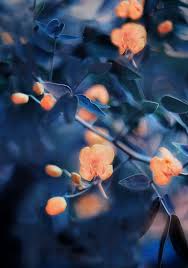 Find images and videos about quotes life and wallpaper on we heart it the app to get lost in what you love. Aesthetic Wallpapers Orange And Blue Novocom Top