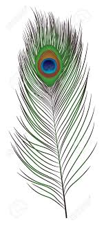Golden peacock feather vector print for design invitation, card, wallpaper or fabric. Peacock Feather Icon Realistic Illustration Of Peacock Feather Royalty Free Cliparts Vectors And Stock Illustration Image 110113026
