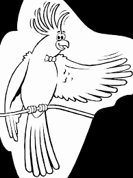 Paint the flying spirit of the bird. Birds Cockatiel Animals Coloring Pages Coloring Page Book For Kids