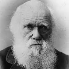 It helps organisations achieve their benefits, people, and wider business goals by increasing engagement, streamlining administration, controlling cost and reducing risk. How Darwin Thought The Golden Rule Of Thinking