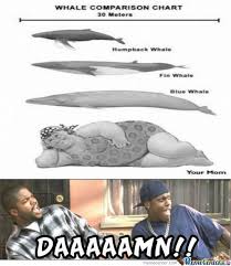 Meme Center Largest Creative Humor Community Funny Memes Funny Comics Memes