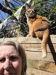 It's an absolute outrage mummy left me out in the rain all morning whilst  she was at work her excuse was she didn't realise I was outside so didn't  open the window