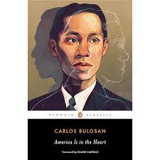 Amazon.com: American Paper Son: A Chinese Immigrant in the Midwest (Asian  American Experience): 9780252072635: Wong, Wayne Hung, Tong, Benson, Tong,  Benson: Books