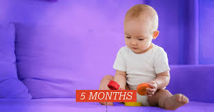 As crawling and walking come into the picture, a toy for pulling up. The Only 5 Month Milestones That Matter Fatherly
