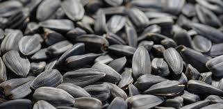 Growing garden edibles directly from seeds has many benefits. Bayer Forays Into Home Garden Segment Launches Mini Packs Of Hybrids Vegetable Seeds Business
