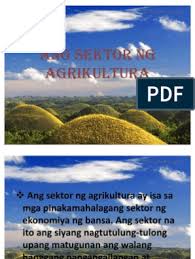 20+ koleski terbaru larawan maunlad na bansa drawing. Ang Sektor Ng Agrikultura