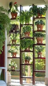 This Wpuld Be Super Cool In A Florida Room Or As A Room Divider Window Herb Garden Indoor Gardens Vertical Garden