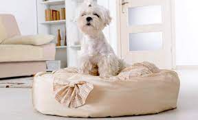 Majestic pet suede bagel dog bed. 6 Best Luxury Dog Beds 2021 Reviews Only The Best For Your Buddy