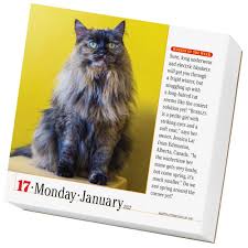 Is to show and recognize different days, whether for something religious, social or something else. 365 Cats 2022 Page A Day Calendar Calendars Com
