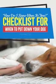 While you may be hesitant to tell your children, use this is a time to help them grapple with loss as a part of life. When To Put Your Dog Down Checklist And The Quality Of Life Scale