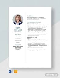 Grab a free template now through microsoft word, publisher, apple pages, adobe photoshop, indesign, and illustrator. 15 Hr Resume Examples In Ms Word Apple Pages Google Docs Pdf Examples