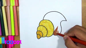 Maybe you would like to learn more about one of these? How To Color Lovely Scotch Bonnet Seashell Coloring Page Youtube