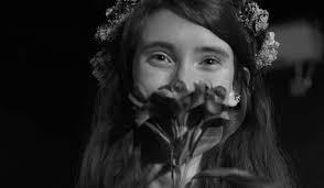 Crew highlight for Last Call: A Short Film! Taylor Schafer is the editor  and colorist of Last Call! She lived in Temperance, Michigan her whole life  until coming to NYU for Film