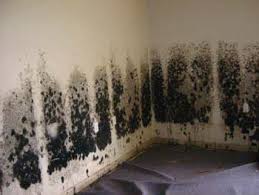 That musty, moldy basement smell that we have come to accept as unavoidable, is actually quite avoidable. Meth And Mold Are In Home Inspection
