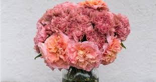 Jump to a section below  hide January S Birth Flower What You Need To Know Bouqs Blog