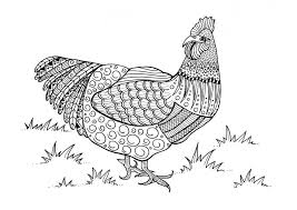 Pin On Coloring Farm Animals