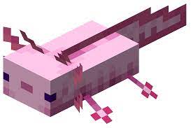 Check spelling or type a new query. Axolotl Official Minecraft Wiki