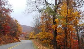 We did not find results for: Embracing Virginia S Fall Colors Along Blue Ridge Parkway And Peaks Of Otter Lynnrmitchell Com