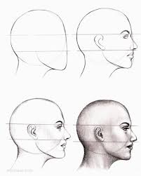In this tutorial you will learn how to draw a nose. How To Draw A Face 25 Step By Step Drawings And Video Tutorials