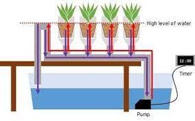 Ebb And Flow Hydroponics System Download Scientific Diagram