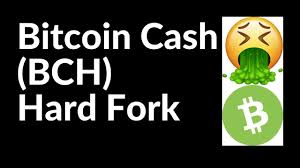 How will bitcoin survive the many enemies it has created by declaring itself a revolution in payment system and decentralization?? The Bitcoin Cash Bch Hard Fork Youtube